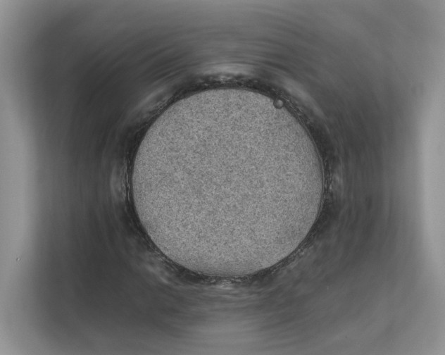 X0000111351014200907310948