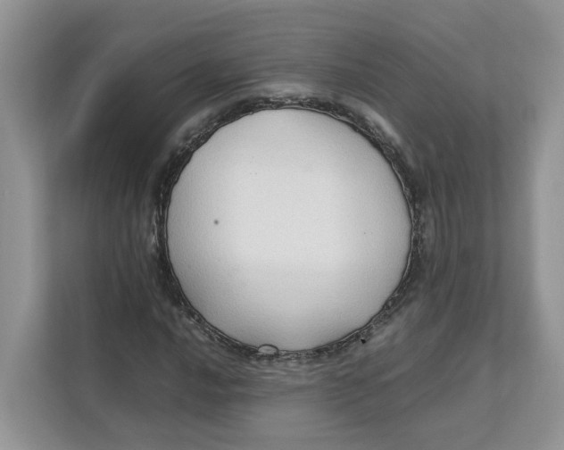 X0000111351016200907310948