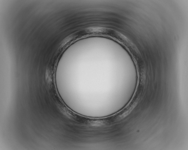 X0000111351017200907310948