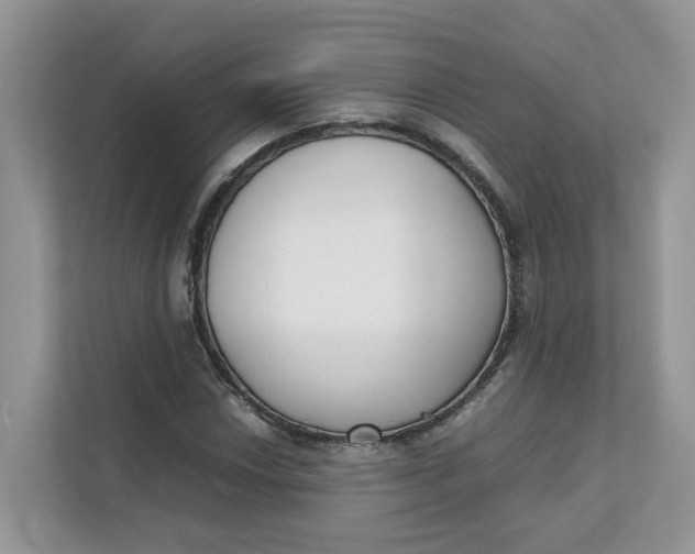 X0000111351018200907310948