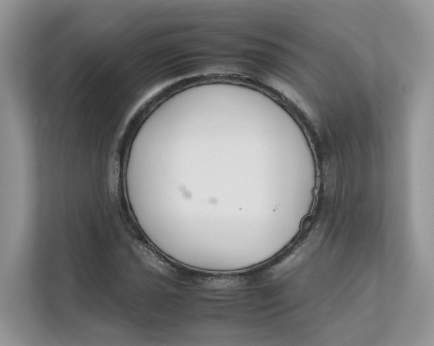 X0000111351021200907310948