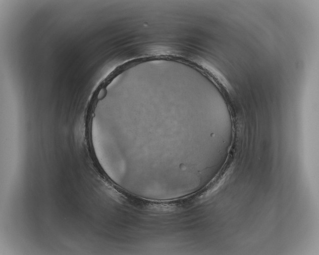 X0000111351023200907310948