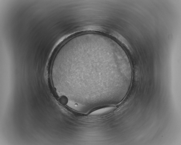 X0000111351024200907310948