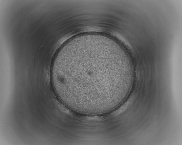 X0000111351025200907310948