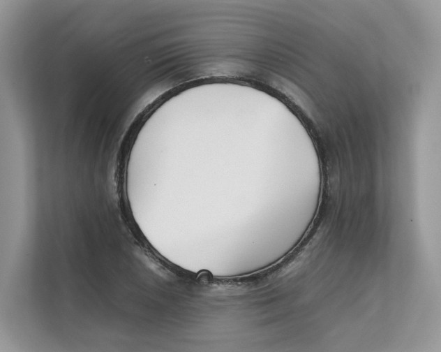 X0000111351026200907310948