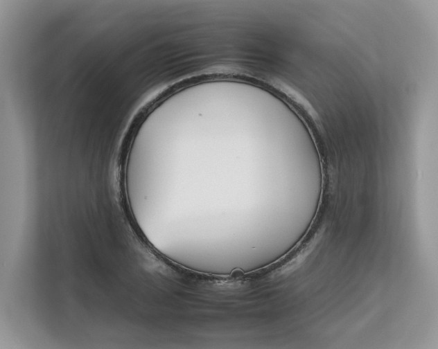 X0000111351029200907310948