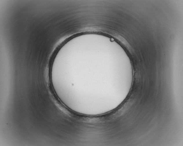 X0000111351030200907310948