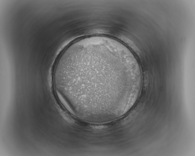 X0000111351031200907310948