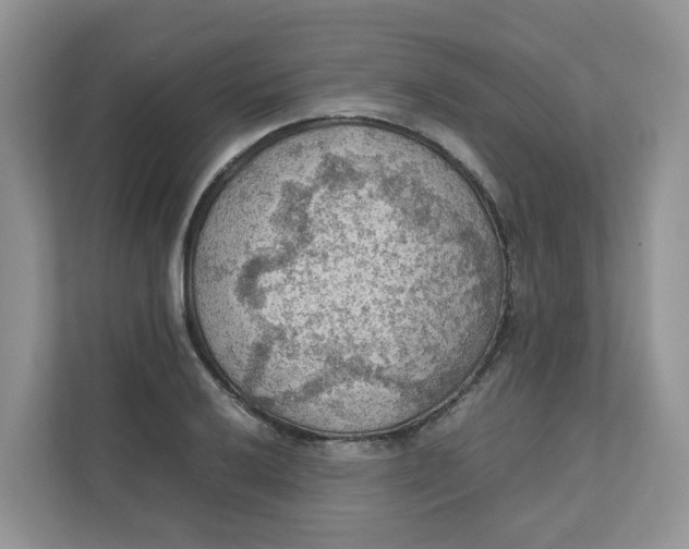 X0000111351032200907310948