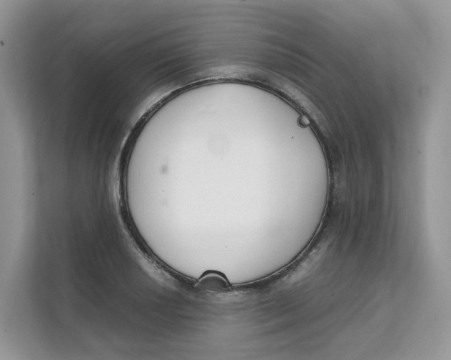 X0000111351034200907310948