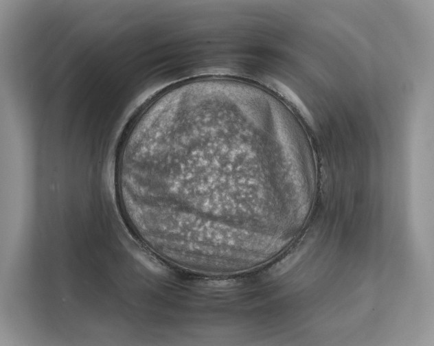 X0000111351035200907310948