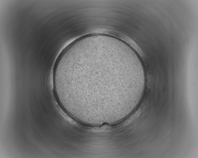 X0000111351036200907310948