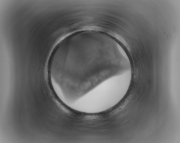 X0000111351037200907310948