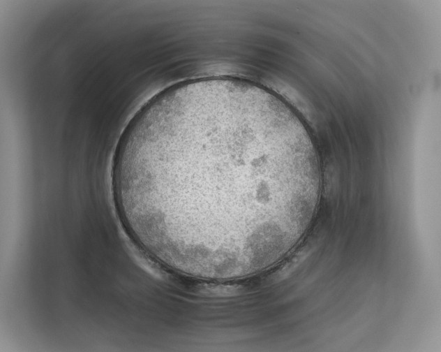 X0000111351039200907310948