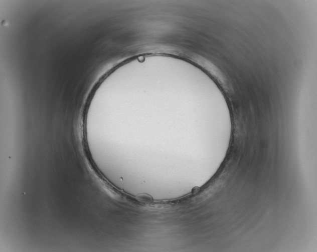 X0000111351040200907310948