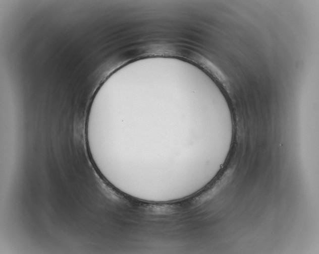 X0000111351041200907310948