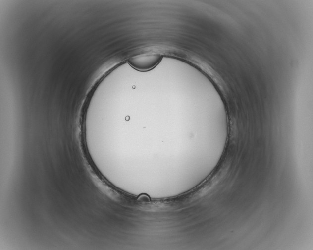 X0000111351042200907310948