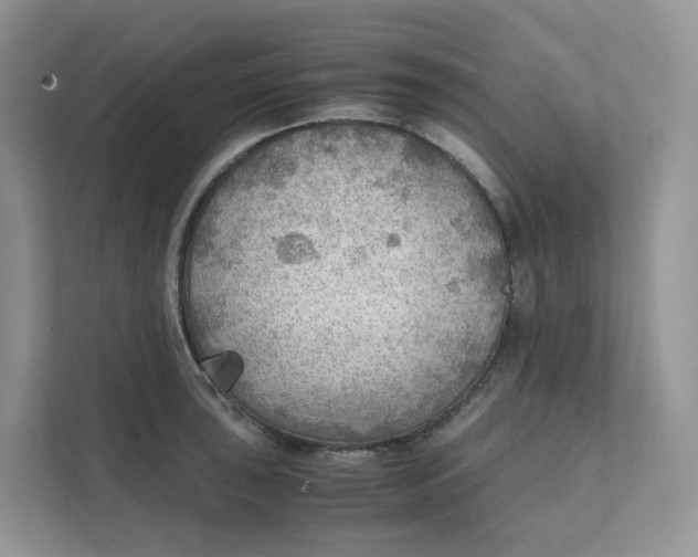 X0000111351043200907310948