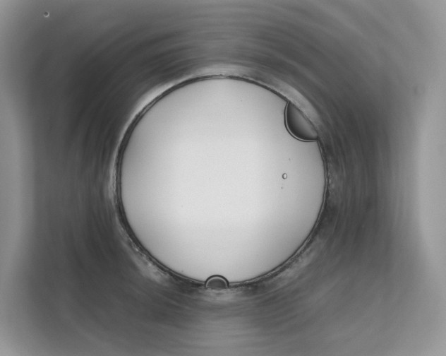 X0000111351044200907310948