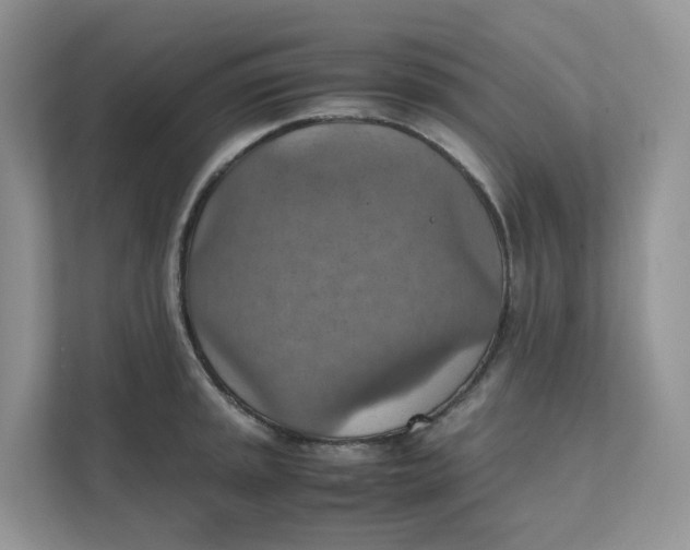 X0000111351045200907310948