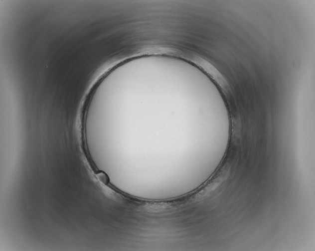 X0000111351046200907310948