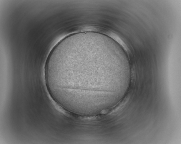 X0000111351047200907310948