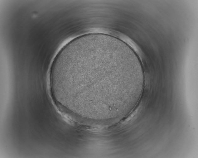 X0000111351048200907310948