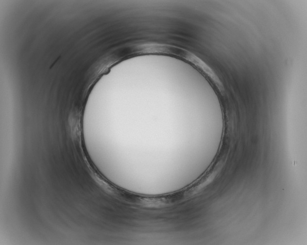 X0000111351049200907310948