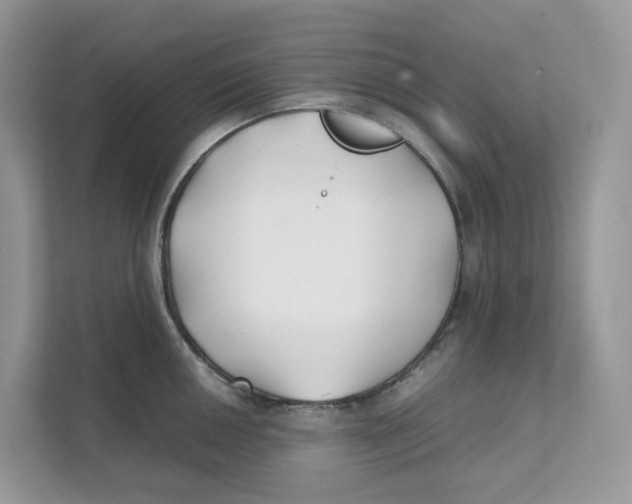 X0000111351050200907310948