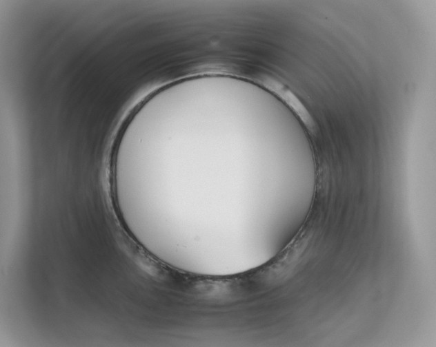 X0000111351051200907310948