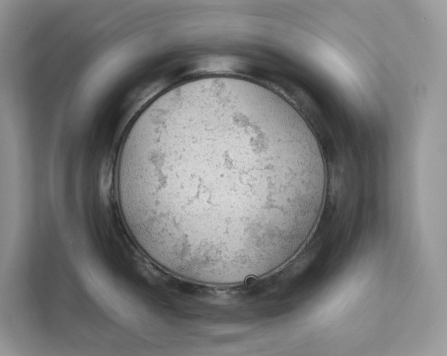 X0000111351052200907310948