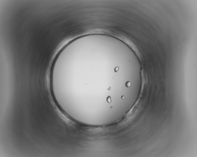 X0000111351054200907310948