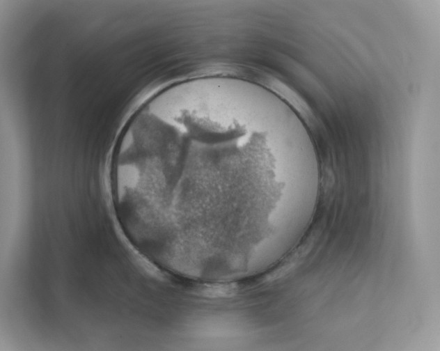 X0000111351055200907310948