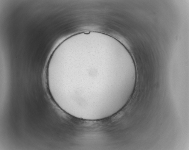 X0000111351056200907310948