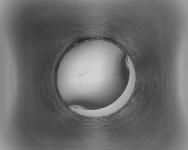 X0000111351057200907310948