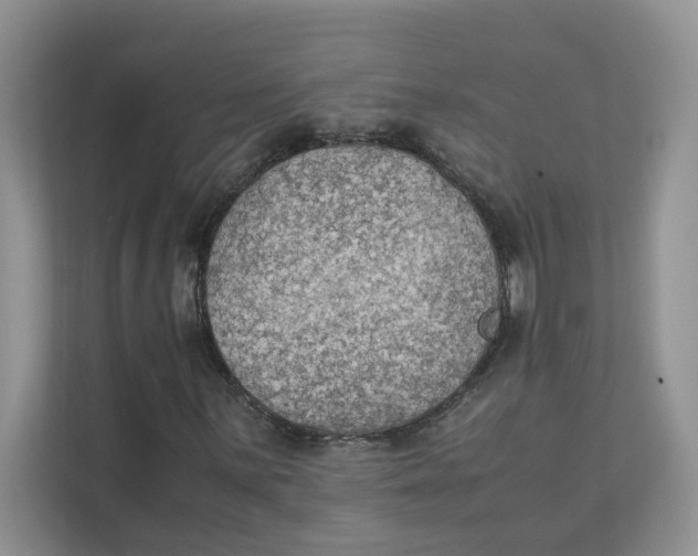 X0000111351059200907310947