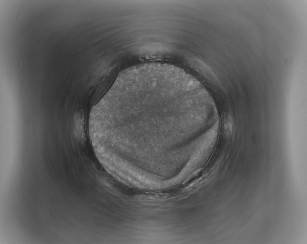 X0000111351060200907310947