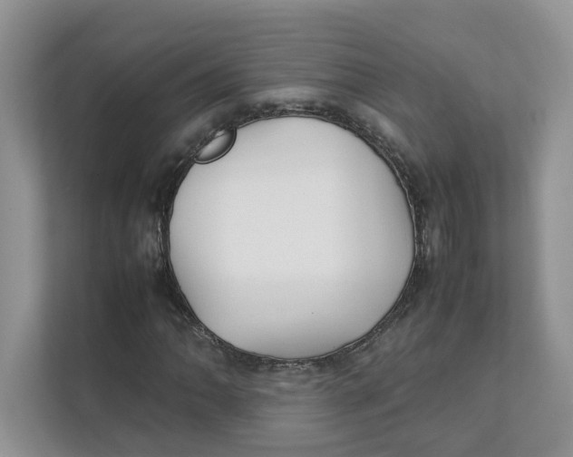 X0000111351062200907310947