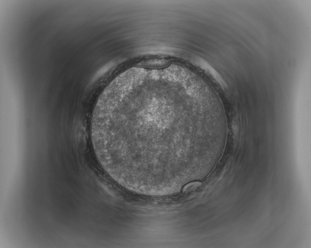 X0000111351064200907310947