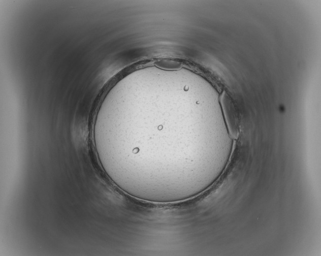 X0000111351065200907310947