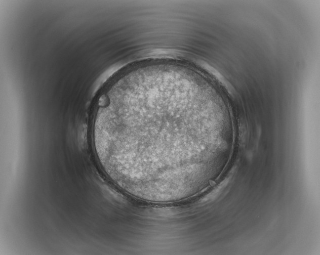 X0000111351066200907310947