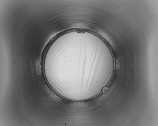 X0000111351068200907310947