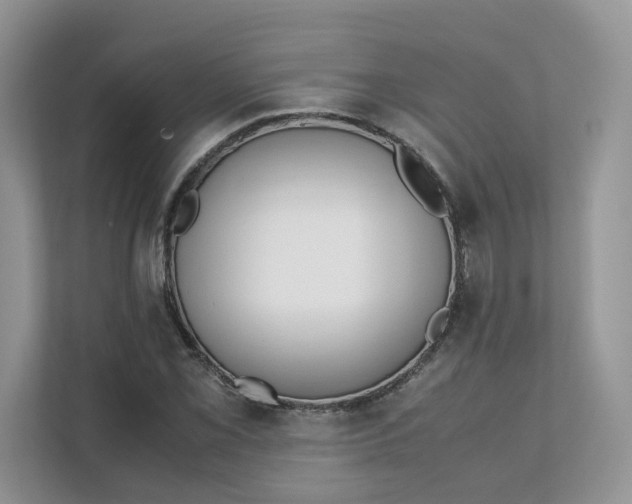 X0000111351069200907310947