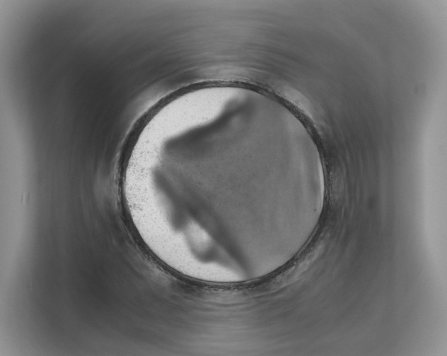 X0000111351071200907310947