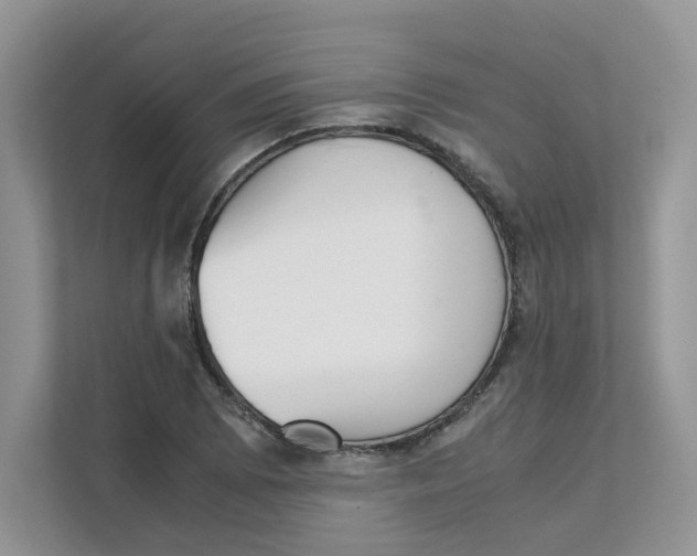 X0000111351073200907310947