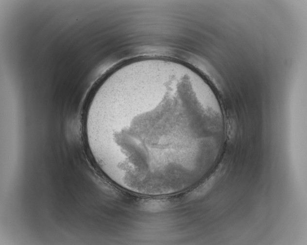 X0000111351074200907310947