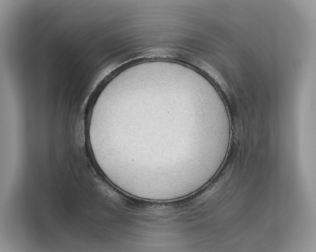 X0000111351075200907310947