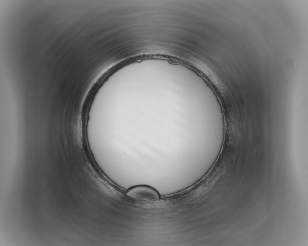 X0000111351076200907310947