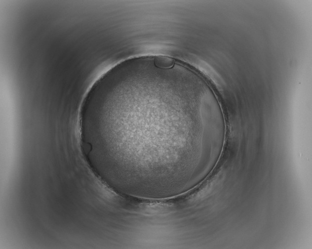 X0000111351077200907310947