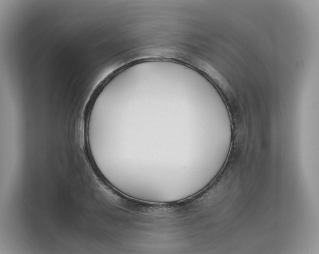 X0000111351079200907310947